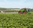 Pulverisateurs Automoteurs Fendt Rogator 645
