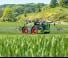 Pulverisateurs Automoteurs Fendt Rogator 665 