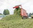 Remorques autochargeuses d'ensilage Pöttinger Jumbo 6020 L