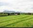 Remorques autochargeuses d'ensilage Pöttinger Jumbo 7380 DB
