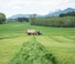 Remorques autochargeuses d'ensilage Pöttinger Jumbo 7400
