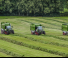Remorques autochargeuses d'ensilage Fendt Tigo 60 MR 