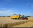 Remorques autochargeuses d'ensilage Joskin TRANS-SPACE 7000/19BC125