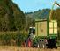 Remorques autochargeuses d'ensilage Krone ZX 350 GL