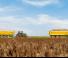 Remorque agricole Remorques basculantes Joskin TRANS-SPACE 9200/26TRC125