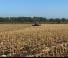 Rouleaux pour des champs et prairies Agrisem Faca Roller