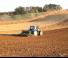 Semoirs Regent Seedstar RSM G 312 DS