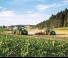 Tracteurs 4WD John Deere 6175R