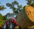 Tracteurs 4WD Massey Ferguson MF 1740 M HP
