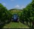 Tracteurs 4WD Landini Rex 3-060F