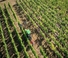 Tracteurs 4WD John Deere 5090GV