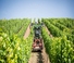Tracteurs 4WD John Deere 5115GV