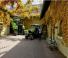 DEUTZ-FAHR Agroplus V 420 INV.Idraulic