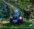 Tracteurs 4WD BCS Eagle 85 SDT