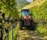 Tracteurs 4WD Valtra F85S