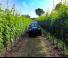 Tracteurs 4WD BCS Fighter 85 RS SDT
