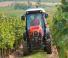 Tracteurs 4WD SAME Frutteto S 115 