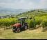 Tracteurs 4WD Massey Ferguson MF 3VI.115 