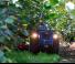 Tracteurs 4WD BCS Vithar 85 RS 