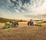 Tracteurs à chenilles Case IH AFS Connect Magnum 380 ROWTRAC