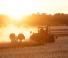 Tracteurs à chenilles Case IH Quadtrac 540 CVX