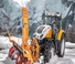 Véhicule Tracteurs municipaux Steyr 6260 Absolut CVT Basis