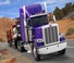 Camions Tracteurs routiers Peterbilt 389 58” Low Roof PACCAR MX-13
