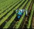 Tracteurs 4WD Landini 4-075 T3
