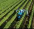 Landini DT 4-110