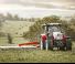 Véhicule Tracteurs municipaux Steyr 4115 Profi CVT Komfort