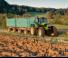 Tracteurs 4WD DEUTZ-FAHR Agrotron L 730