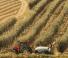 Tracteurs 4WD Case IH Quantum 100 CL Rops