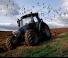 Tracteurs 4WD Lamborghini R 6.135 DCR 4V