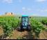 Tracteurs 4WD Landini Rex DT 4-090V