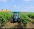 Tracteurs 4WD Landini Rex DT 4-090F