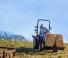 Véhicule Tracteurs municipaux Yanmar SA424V-R 