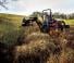 Véhicule Tracteurs municipaux Yanmar SA424V-R 