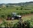 Tracteurs 4WD Lamborghini Spire V 80 
