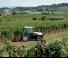 Tracteurs 4WD Lamborghini Spire V 90.4 