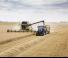 Tracteurs 4WD New Holland T7.290