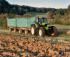 Tracteurs 4WD DEUTZ-FAHR Agrotron L 730 DCR