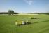 Tracteurs 4WD Claas Arion 650