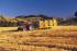 Tracteurs 4WD McCormick C 80 L