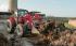 Case IH Farmall 105 U EP Komfort