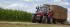 Tracteurs 4WD Massey Ferguson MF 6614 Dyna 6