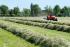 Tracteurs 4WD SAME Tiger 65