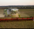 Accessoires pour moissonneuses-batteuses Moissonneuse-batteuses à barres de coupe Claas ConVio 1230