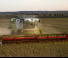 Accessoires pour moissonneuses-batteuses Moissonneuse-batteuses à barres de coupe Claas ConVio Flex 1380