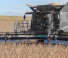 Geringhoff HV 480 