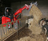 Valet de ferme Schäffer 2345 T